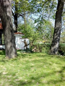 Komunitní centrum Kampa, Haló Jácíčku, Divadlo Puk